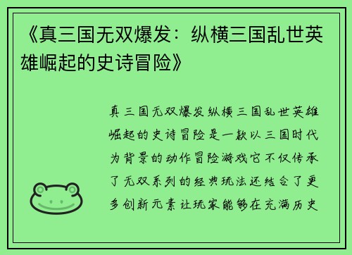 《真三国无双爆发：纵横三国乱世英雄崛起的史诗冒险》